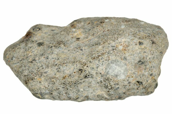 Lunar Meteorite ( g) - NWA #304773